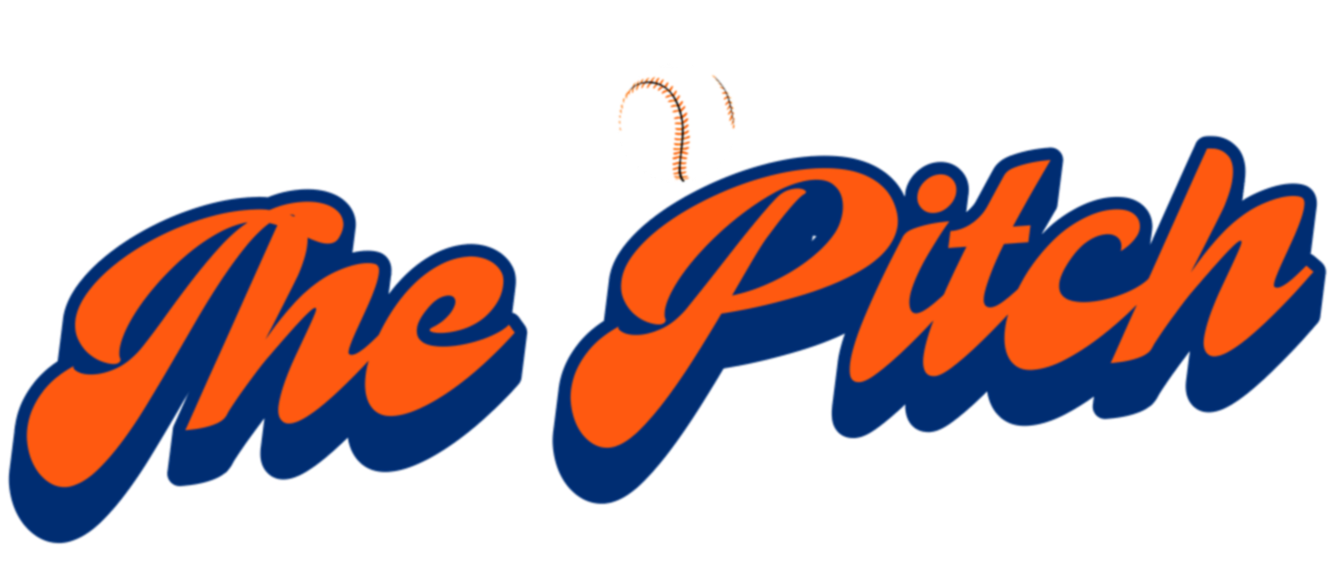 Campaign cover image for The Pitch Summer Mentorship Program