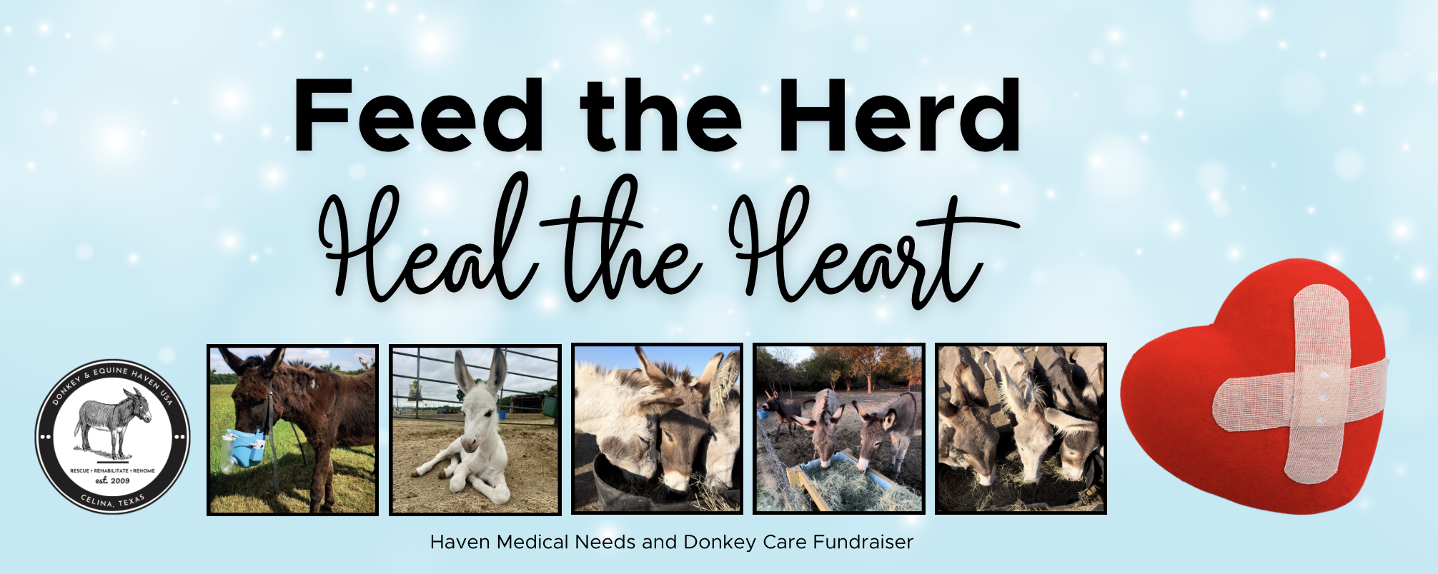 Campaign cover image for Feed the Herd, Heal the Heart