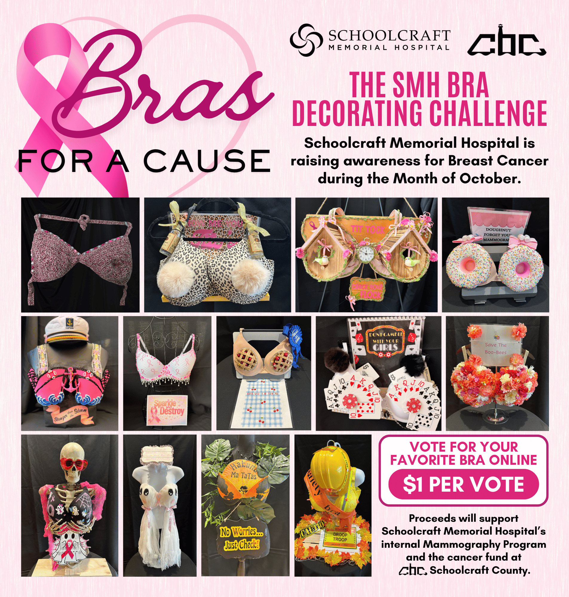 Campaign cover image for Bras for A Cause