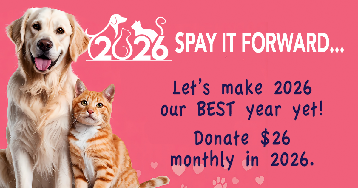 Campaign cover for Spay It Forward ($26 Monthly)