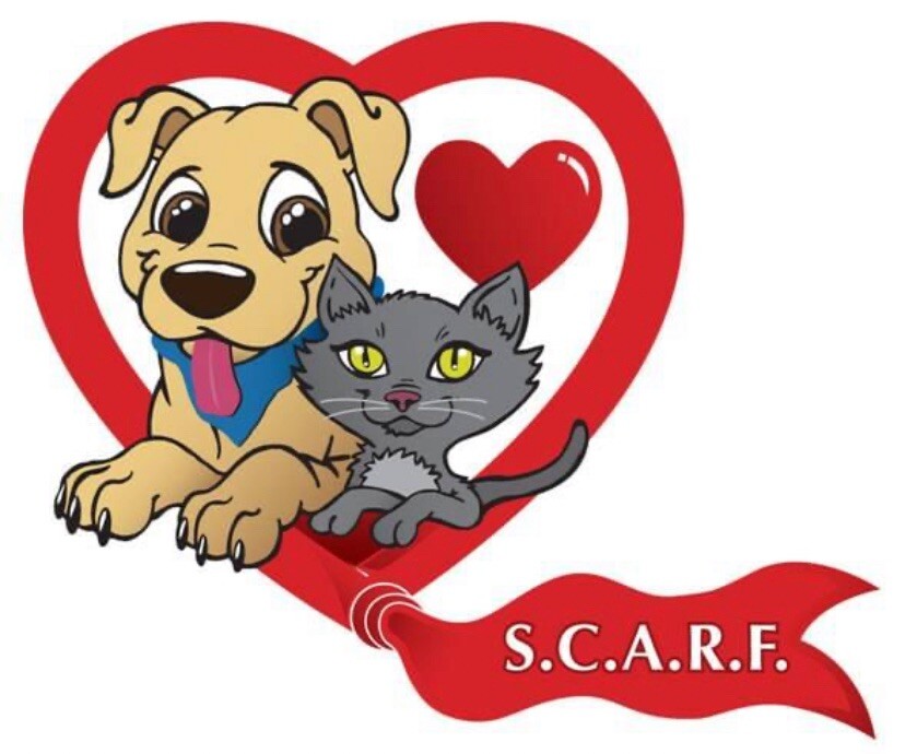 Campaign cover for Shelby County Animal Rescue Foundation