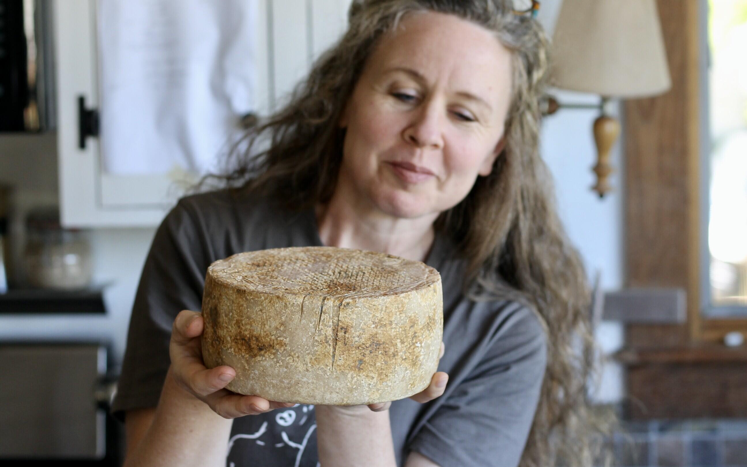 Campaign cover image for Exploring the Age-Old Craft of Cheesemaking