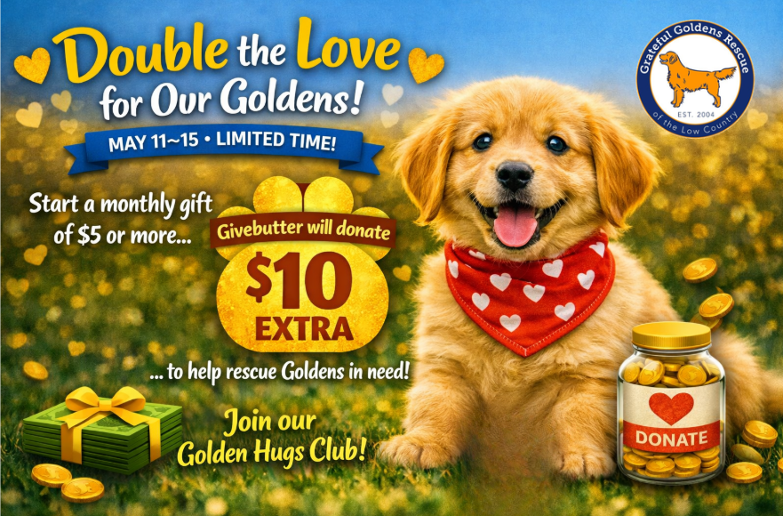 Campaign cover for Golden Hugs Club