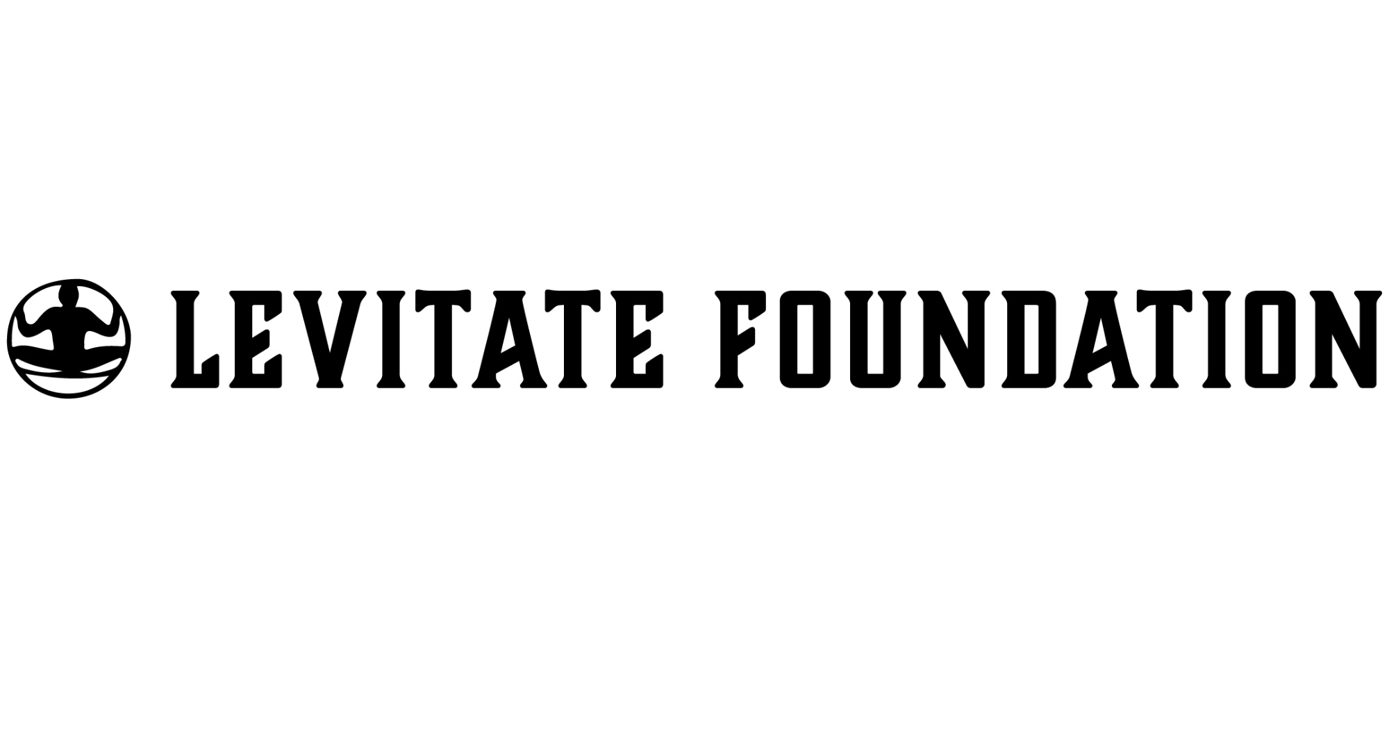 Campaign cover image for Levitate Foundation Holiday Fundraiser Campaign
