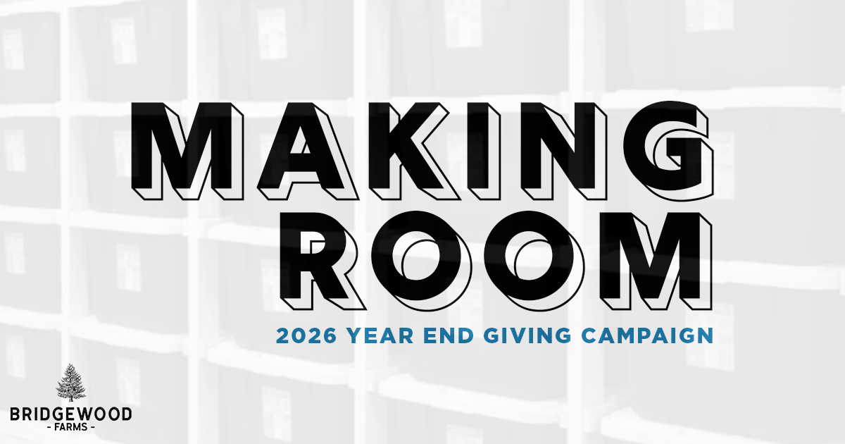 Campaign cover image for Making Room • 2026 Year End Giving