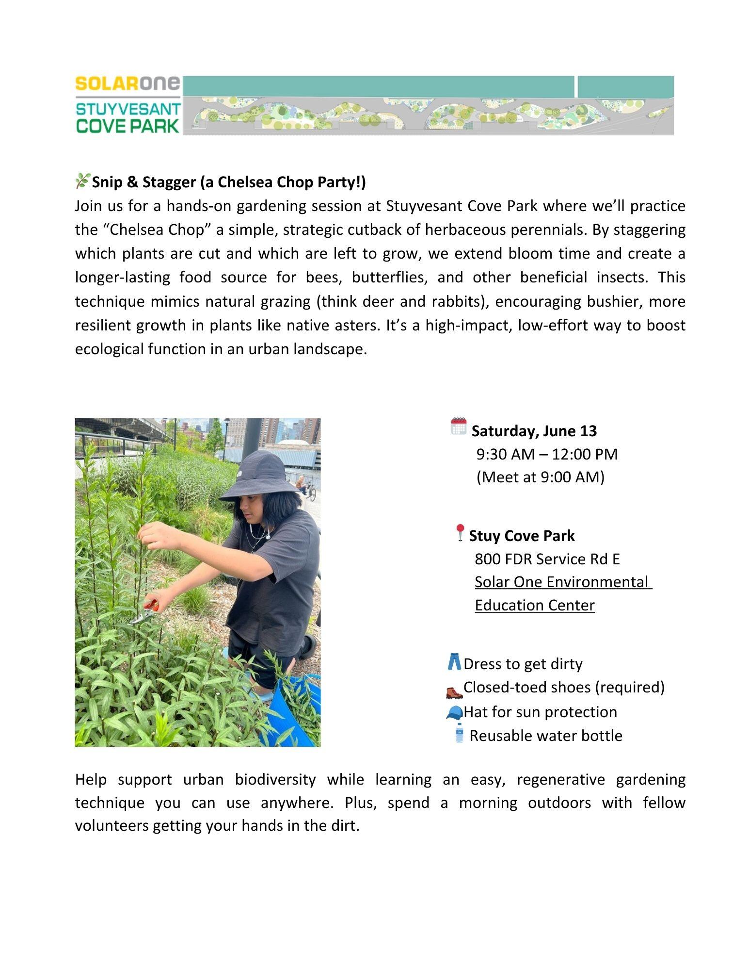 Campaign cover image for 🌿Snip & Stagger: A Chelsea Chop Pruning Party!