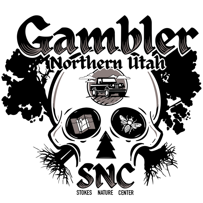 Campaign cover image for The Gambler Cache Valley Edition