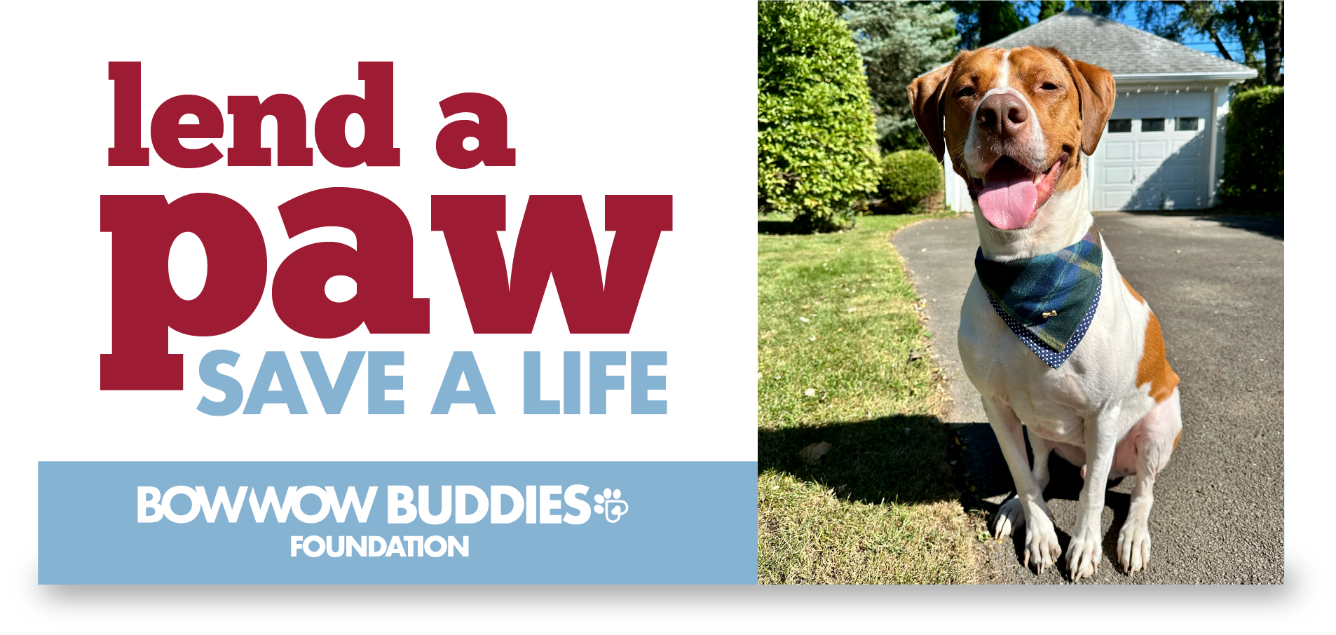 Campaign cover image for Bow Wow Buddies Foundation T-Shirt Fundraiser