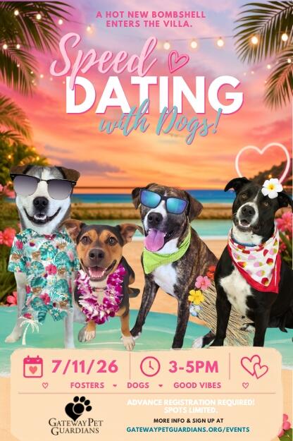 Campaign cover image for Foster Love, Island - A Speed Dating Event!