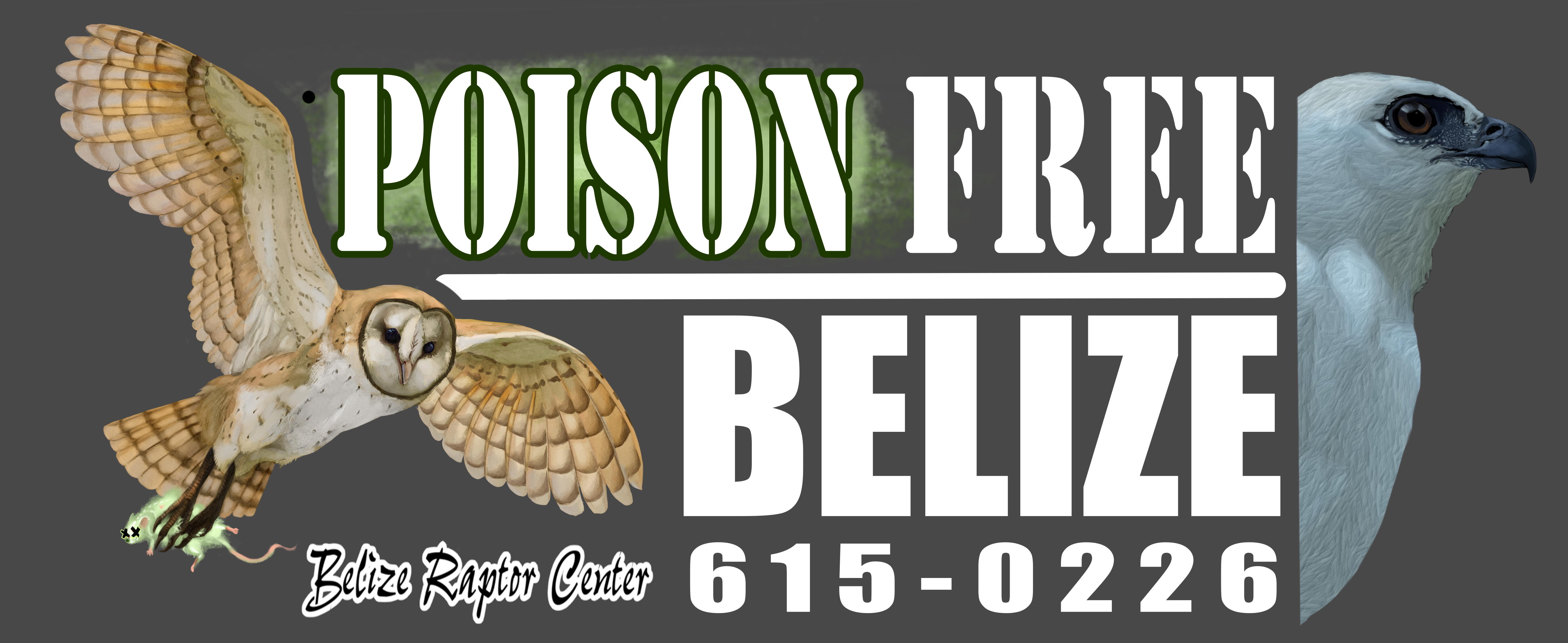 Campaign cover image for Talons and Tacos Part II - Poison Free Belize