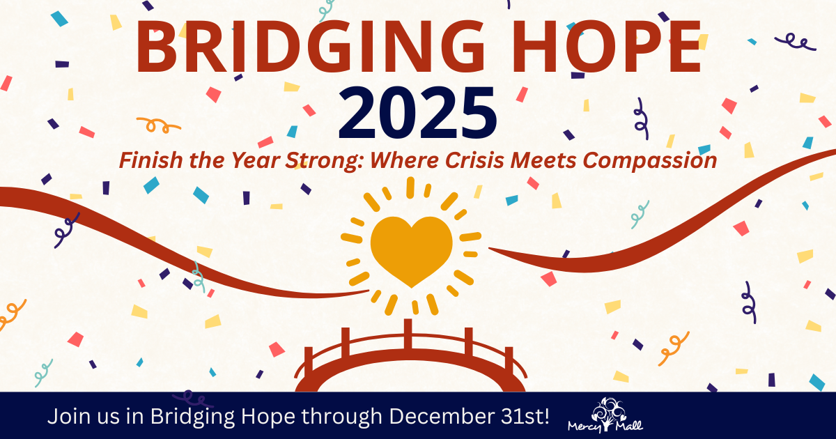 Campaign cover image for Bridging Hope 2025