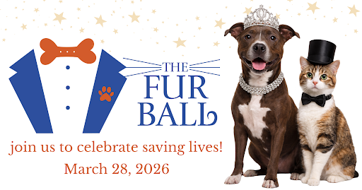 Campaign cover image for The Fur Ball 2026