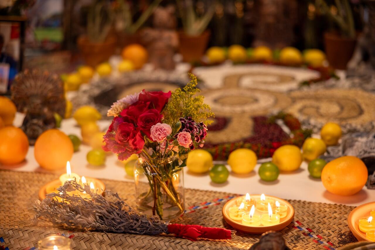 Campaign cover image for Currículo de Comadre de la Muerte en persona- In-Person Spanish Death Comadre Curriculum