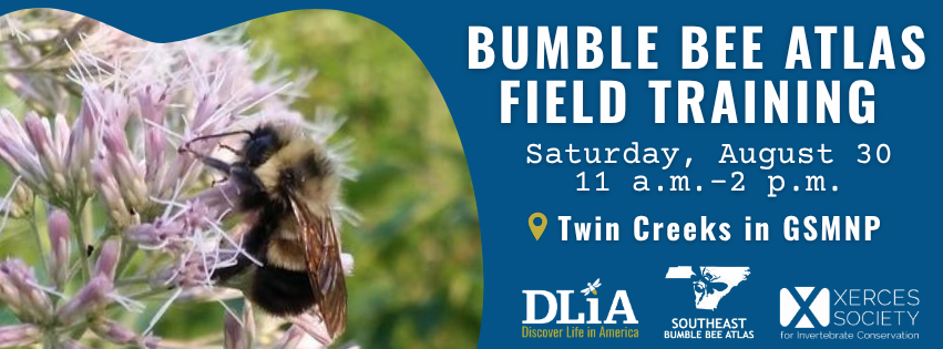 Campaign cover image for Bumble Bee Atlas Field Training