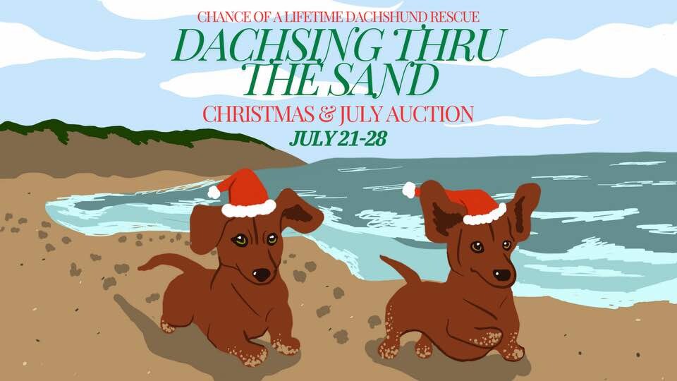 Campaign cover image for Dachsing Through the Sand - Christmas & July Auction