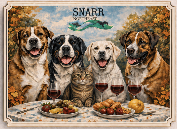 Campaign cover image for Mutts and Merlot