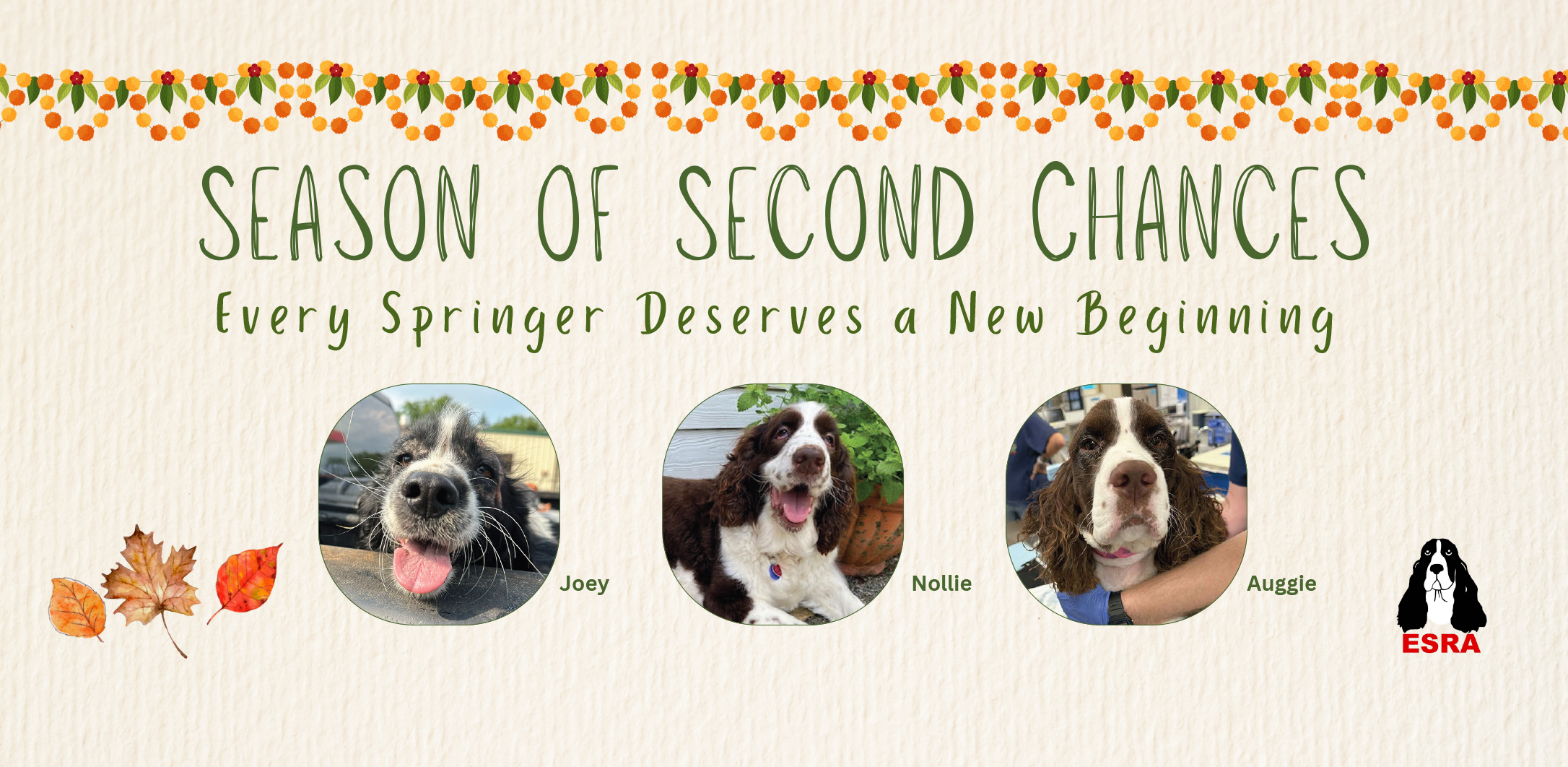 Season of Second Chances