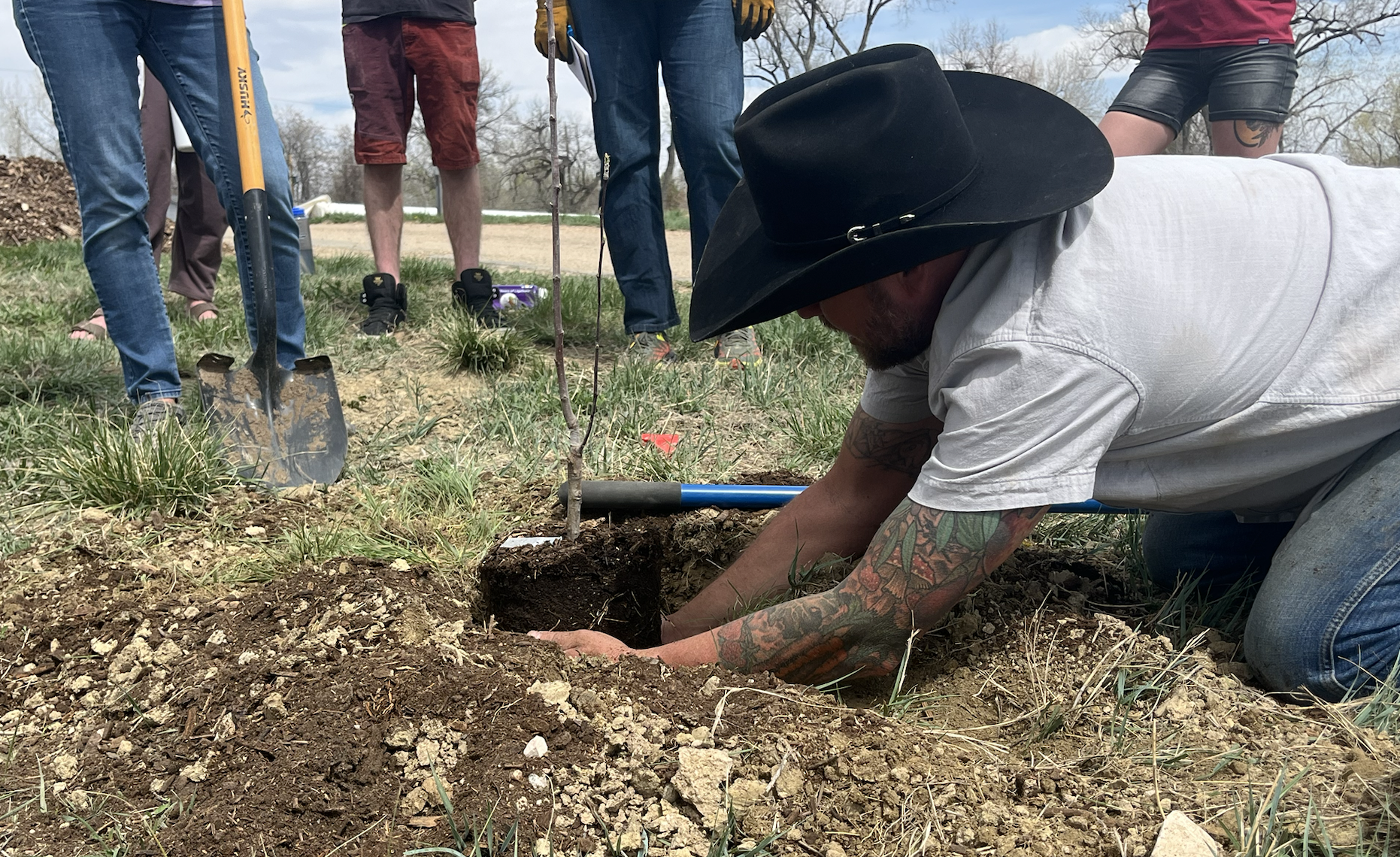 Campaign cover image for Learn to Grow Your Own Fruit Trees!