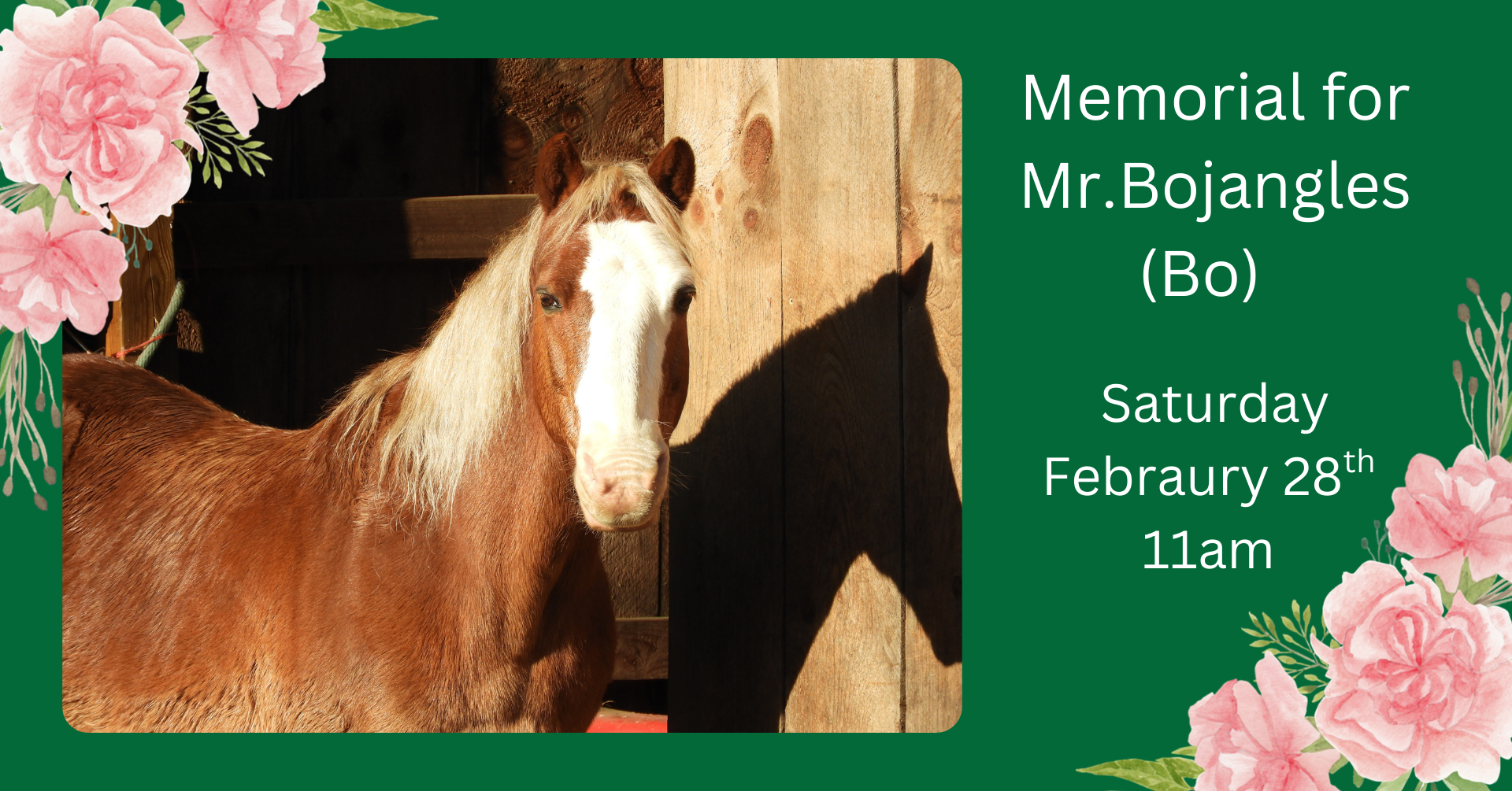 Campaign cover image for Remembering Mr. Bojangles - Memorial Fundraiser