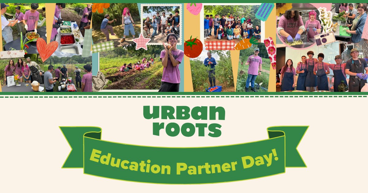 Campaign cover image for Urban Roots Education Partner Day