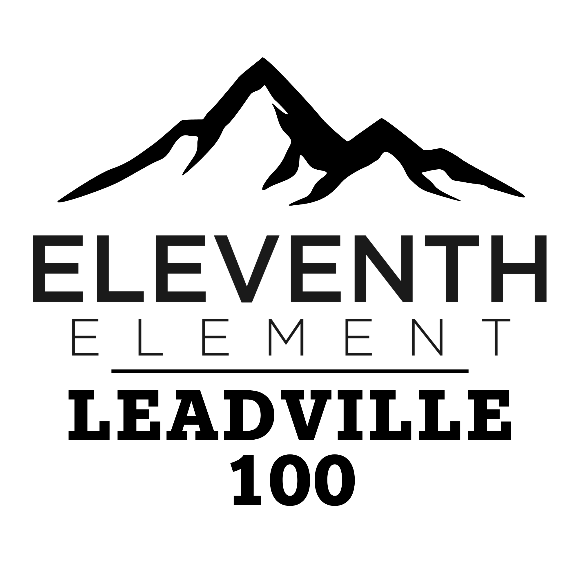 Campaign cover image for Eleventh Element -- Leadville 100