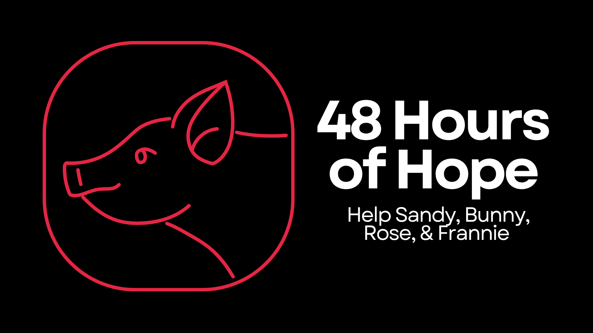 Campaign cover image for 48 Hours of Hope