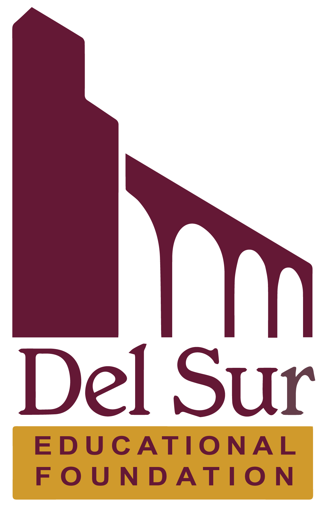 DSEF Quest for More Campaign