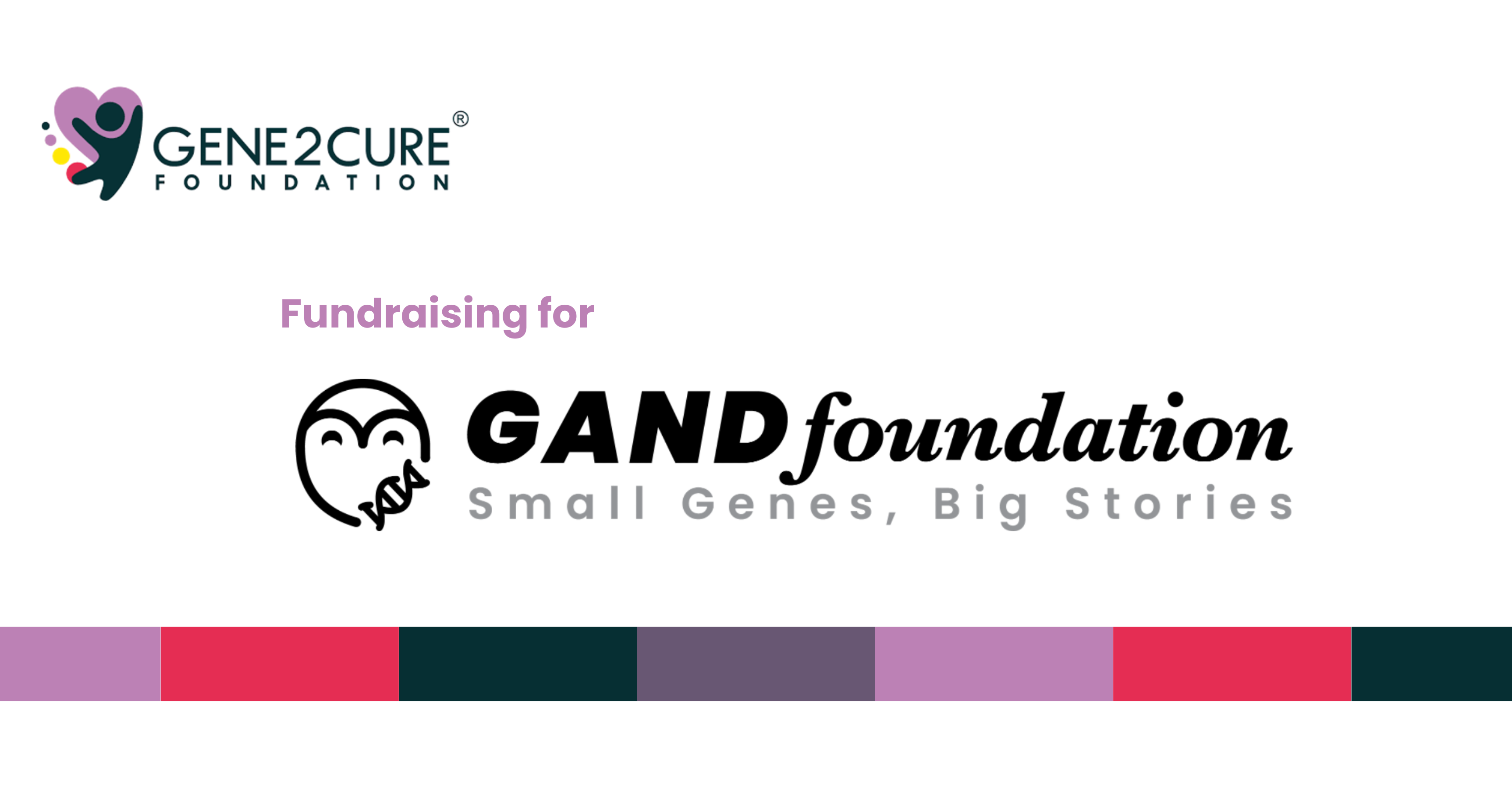 Campaign cover image for Fundraising for GAND gene therapy program
