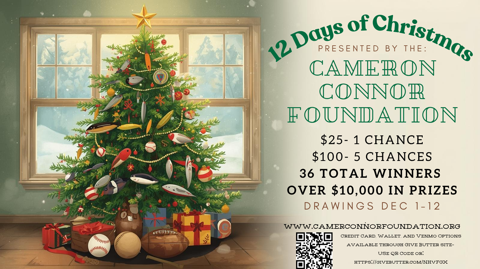 Campaign cover image for 12 Days of Christmas Raffle