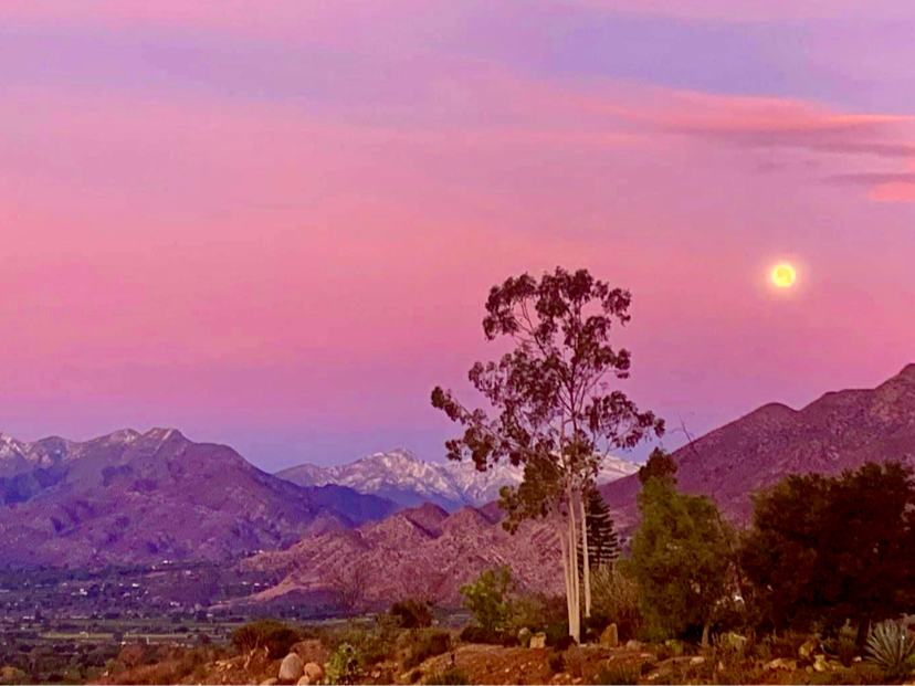 Campaign cover image for Full Moon Meditation