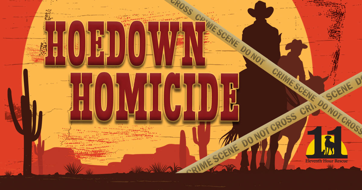 Campaign cover image for Murder Mystery Dinner Show