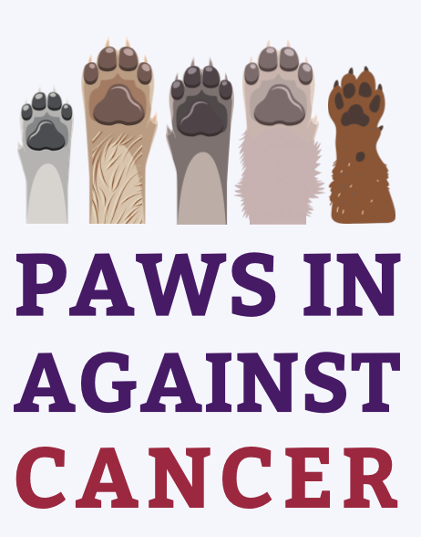 Campaign cover for Paws In Against Cancer Raffle