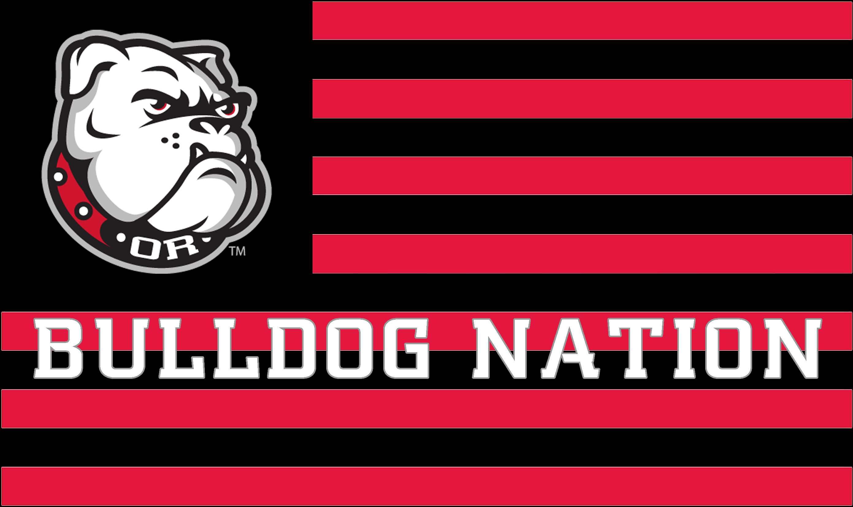 Campaign cover image for Build the Nation 2025