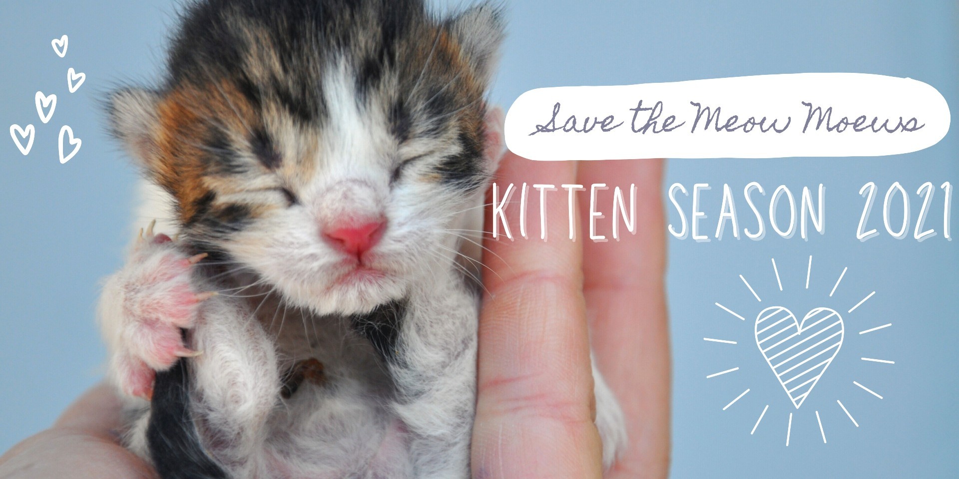 Campaign cover image for Save the (baby) Meow Meows:  Kitten Season 2021
