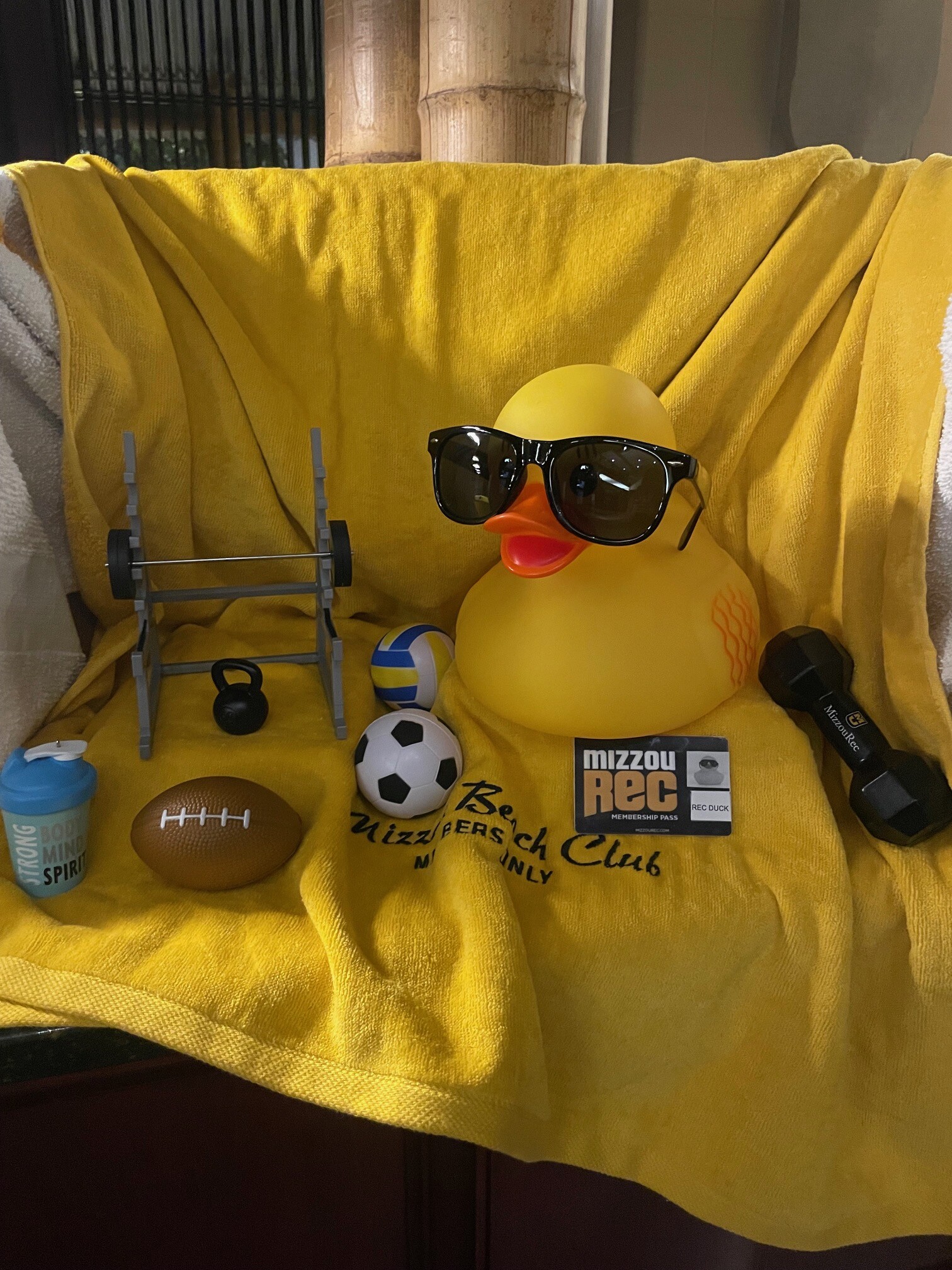 Campaign cover image for MizzouRec's DUCK-orating Page