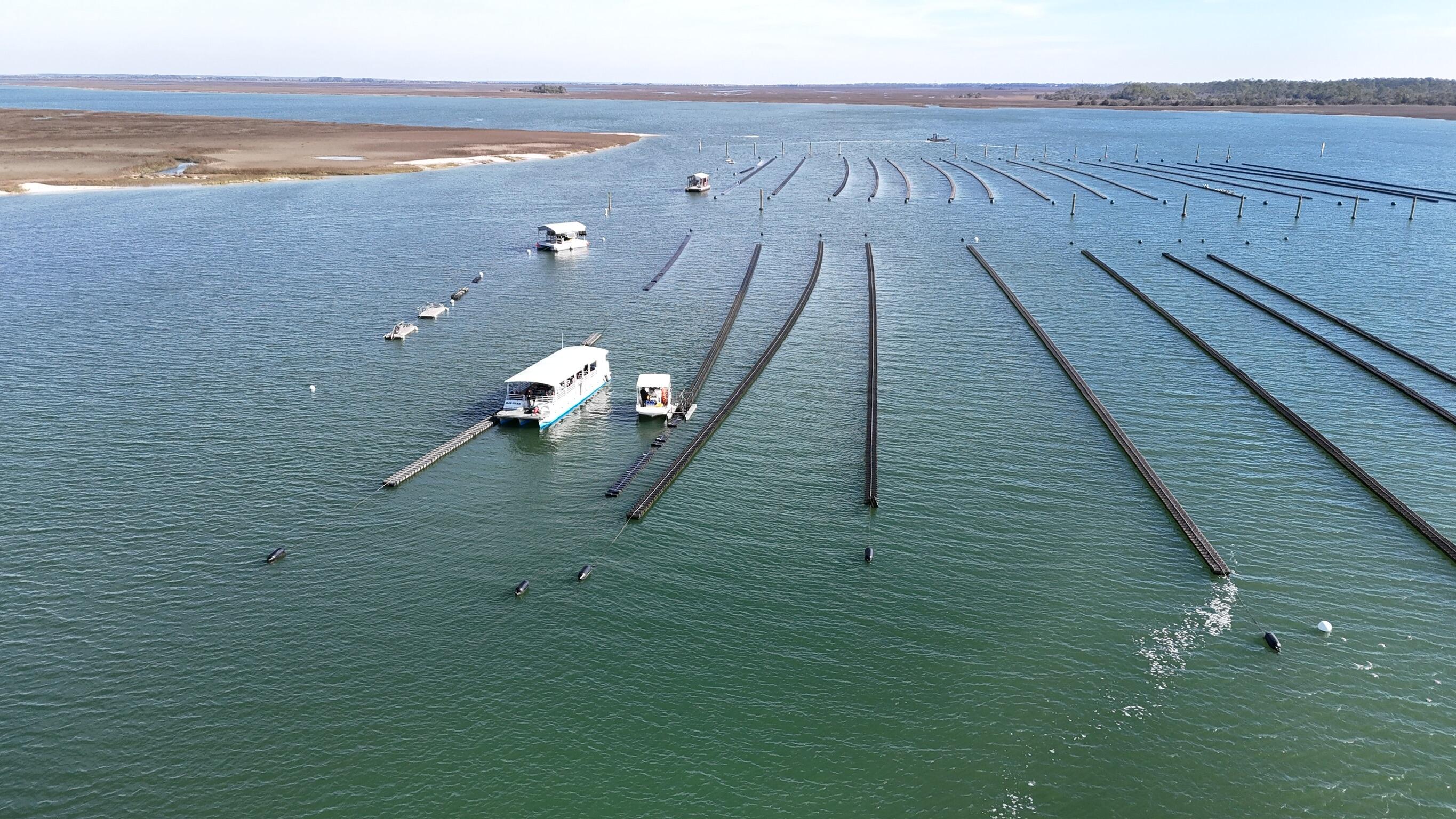 Campaign cover image for ECO Impact Fund