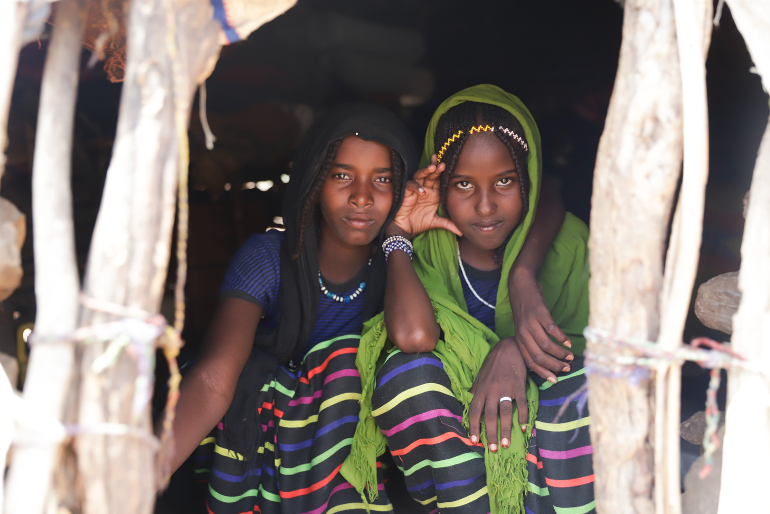 Campaign cover image for House Calls x ShelterBox