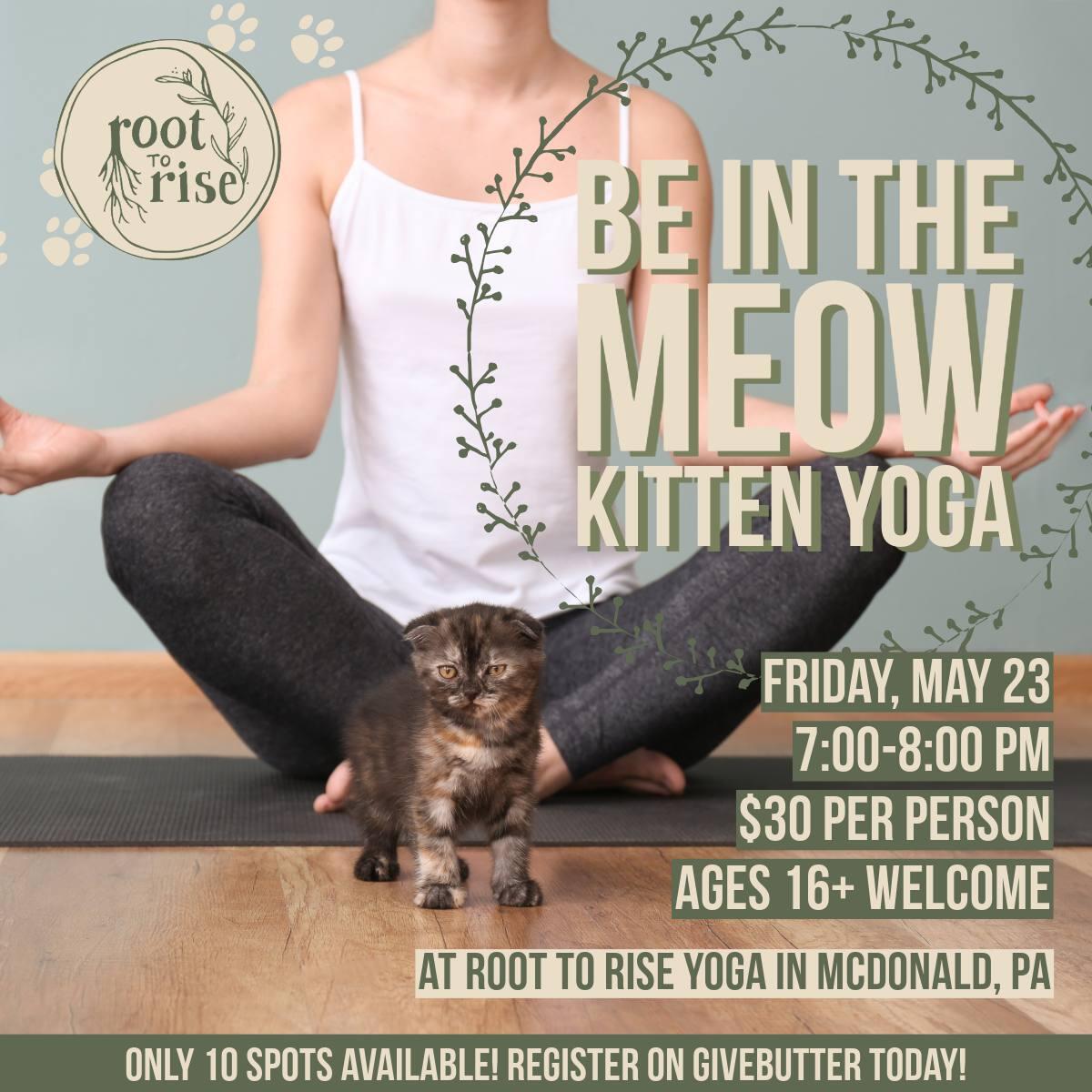 Campaign cover image for Be in the Meow Kitten Yoga