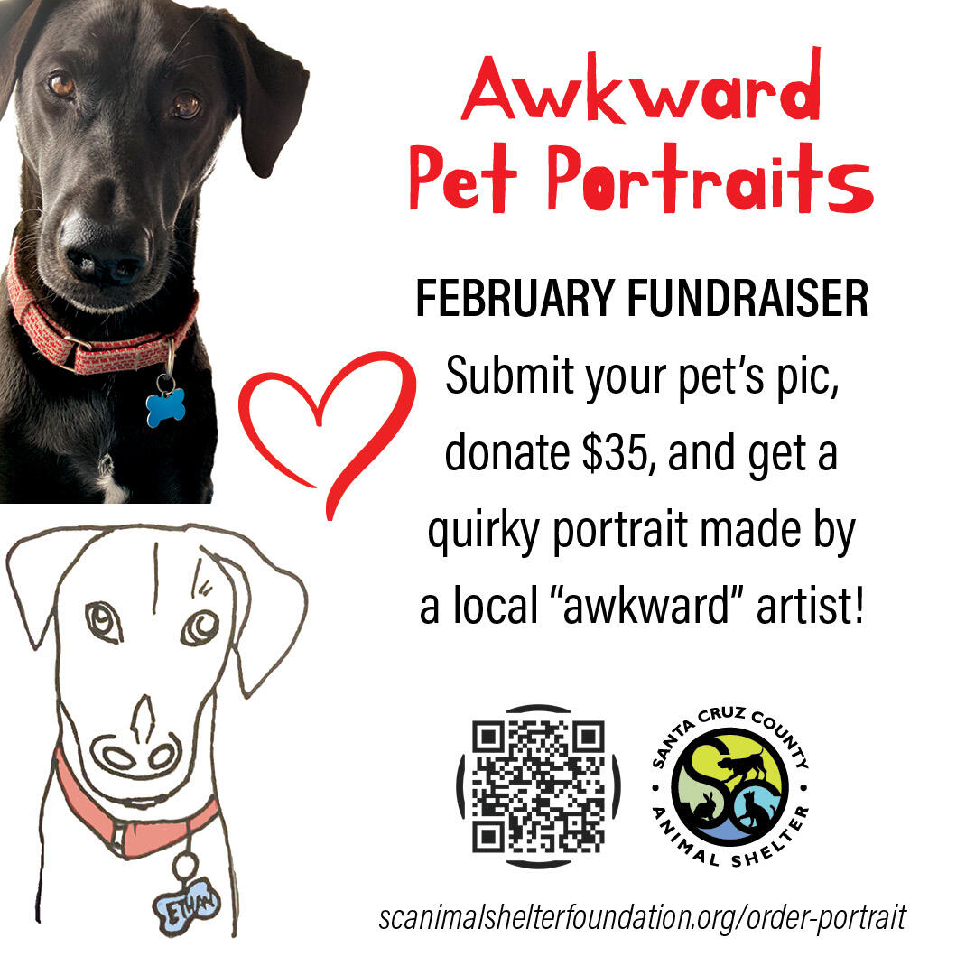 Campaign cover image for Order My Awkward Pet Portrait