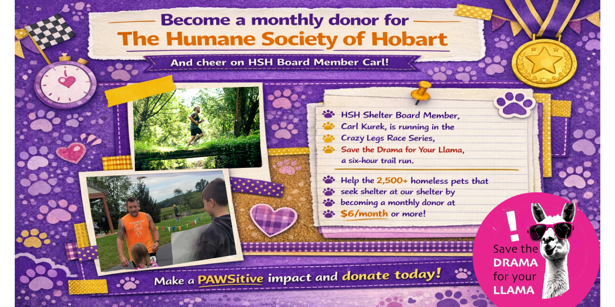 Campaign cover image for Carl's 6-Hour Race Fundraiser for HSH