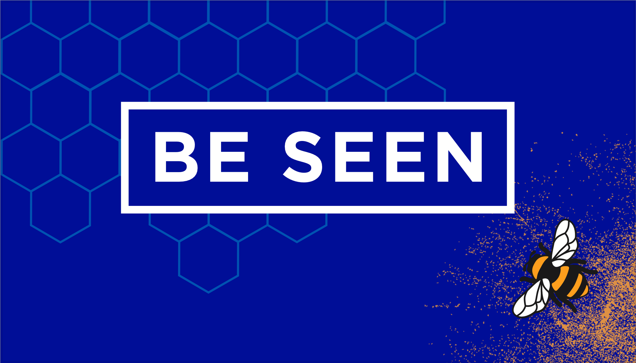 Campaign cover image for BE SEEN Foundation Launch