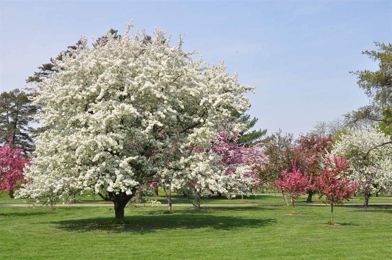 Campaign cover image for Live Green, Give Green