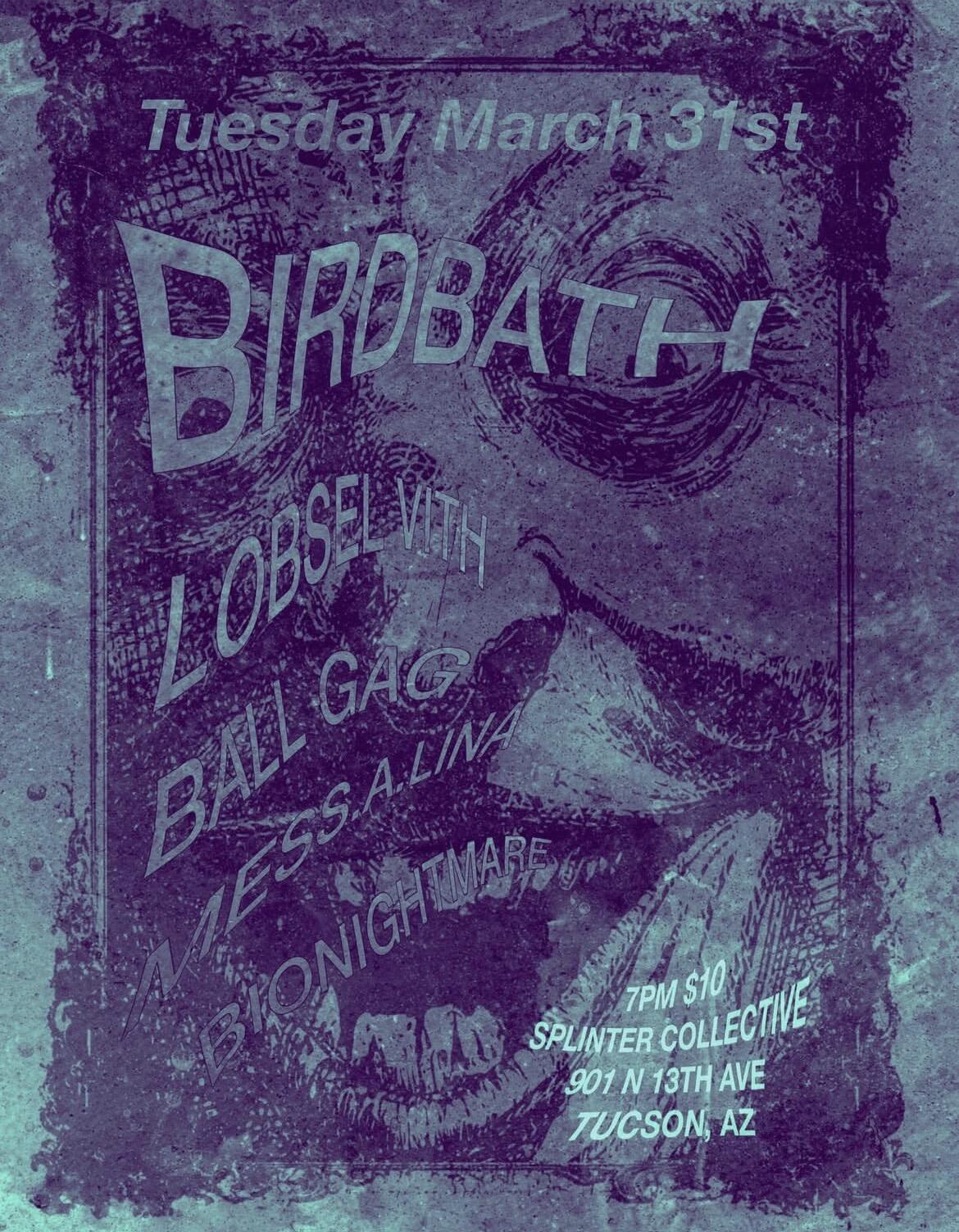 Campaign cover image for BIRDBATH @ Splinter Collective