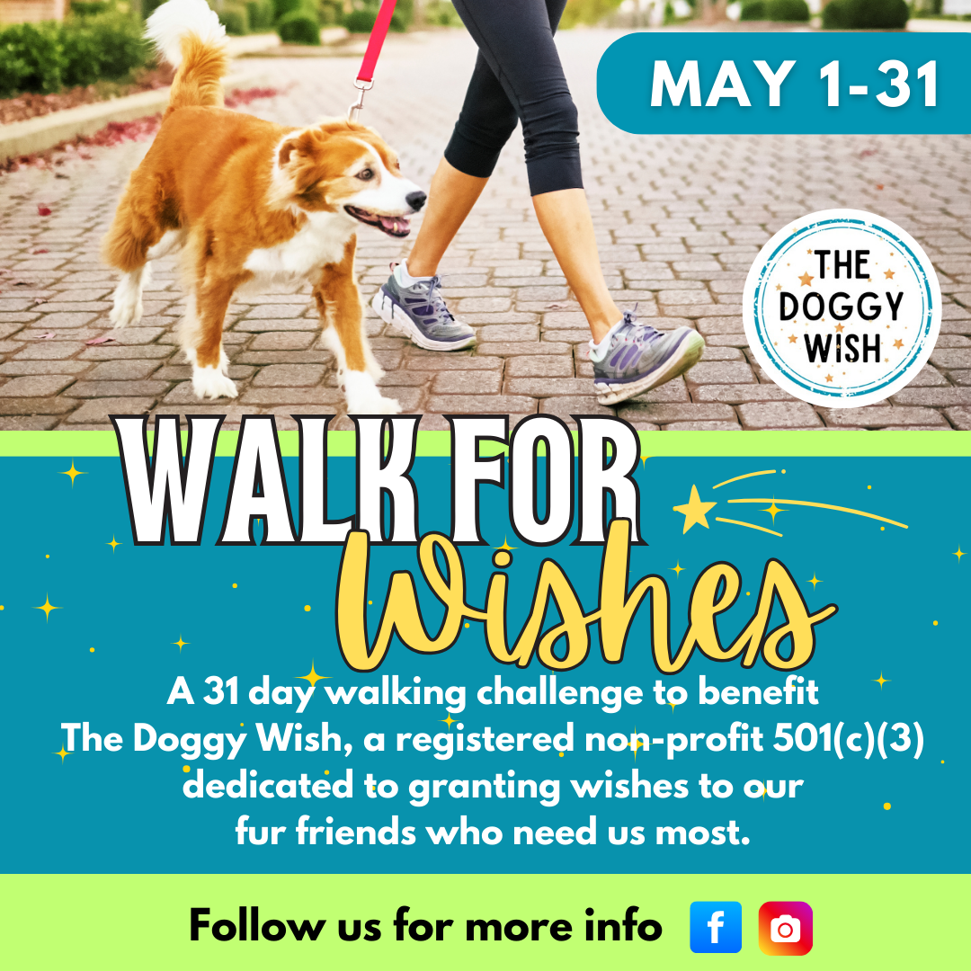 Campaign cover image for Walk for Wishes (Virtual)