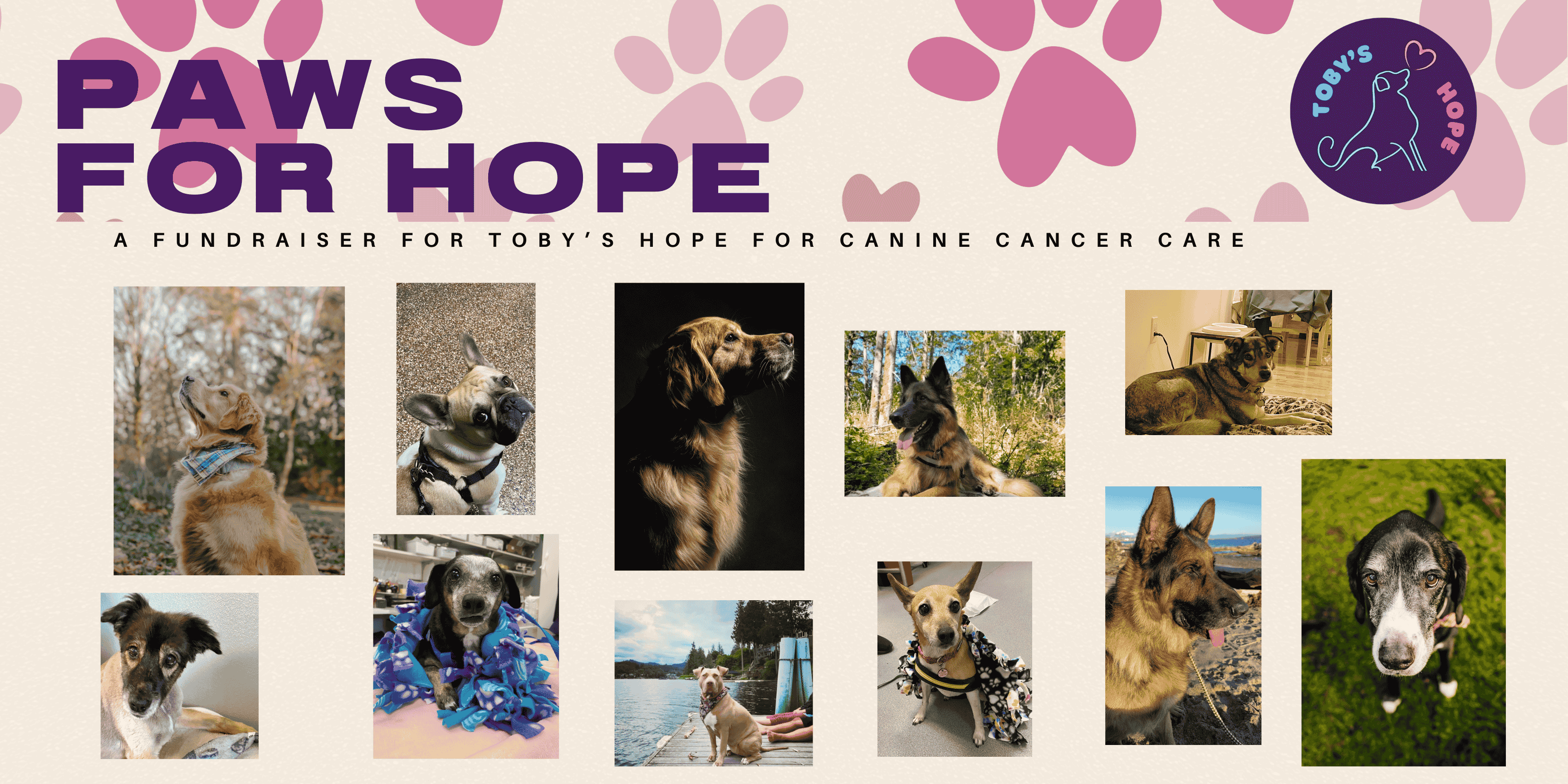 Campaign cover image for Paws for Hope: A Fundraiser for Toby’s Hope for Canine Cancer Care 2025