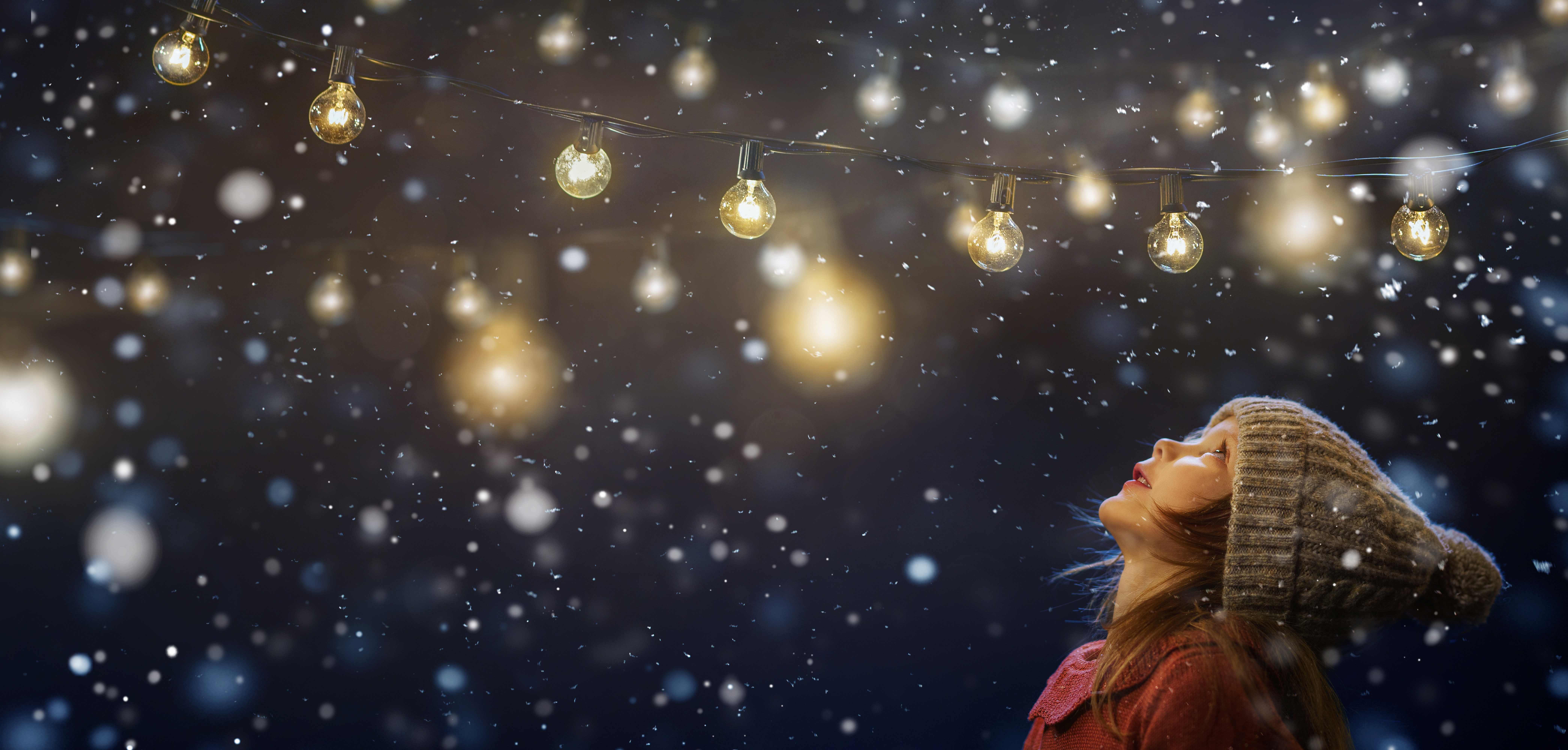 Campaign cover image for FRC Christmas Auction 2025