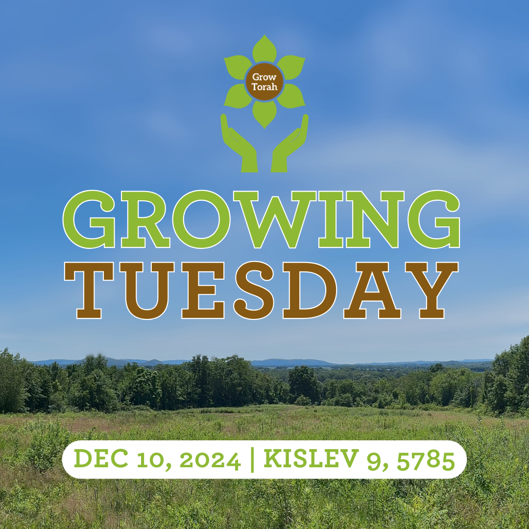 Campaign cover image for Growing Tuesday 2024