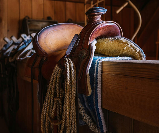 Campaign cover image for How to saddle and mount a horse