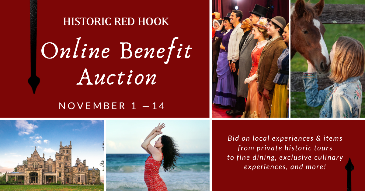 Campaign cover image for 2026 Online Benefit Auction