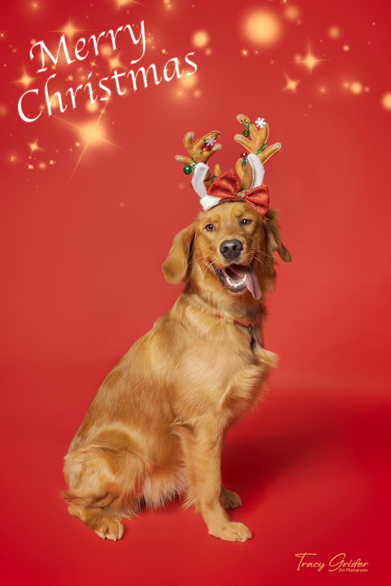 Campaign cover image for 2025 Christmas Minis